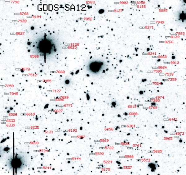 This image shows a field in space called GDDS-SA 12. The field is 5.5 arcminutes by 5.5 arcminutes across. Small rectangles indicate the locations of distant galaxies chosen for further study with a scientific instrument called GMOS. The background image is a deep exposure taken with the CTIO 4-meter telescope.
