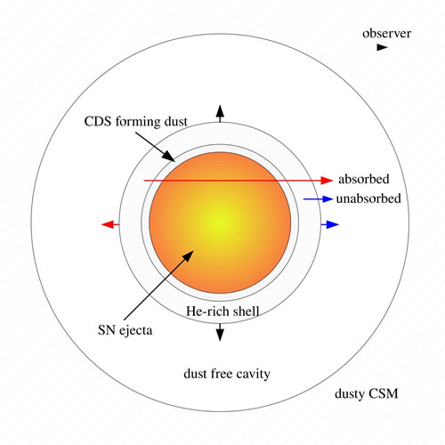 Illustration of the dust around supernova SN 2006jc. The image shows two regions of dust: a newly formed shell (labeled CDS forming dust shell) and pre-existing dust (labeled dusty CSM).