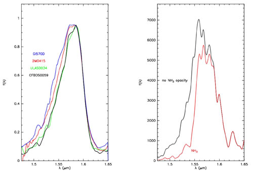 This figure has two panels. The left panel shows spectra of two brown dwarfs (CFBDS0059 and ULAS0034) compared to spectra of two previously known cooler brown dwarfs. The right panel shows simulated spectra for a hypothetical brown dwarf with a temperature of 600 Kelvin, both with and without the effects of ammonia absorption.