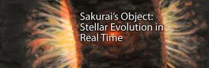 Sakurai’s Object: Stellar Evolution in Real Time