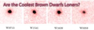Are the Coolest Brown Dwarfs Loners?