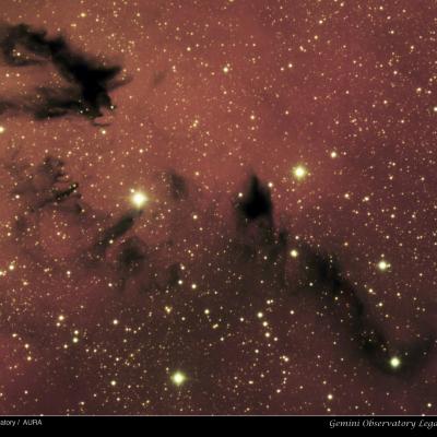 Chinese Dragon NGC 6559