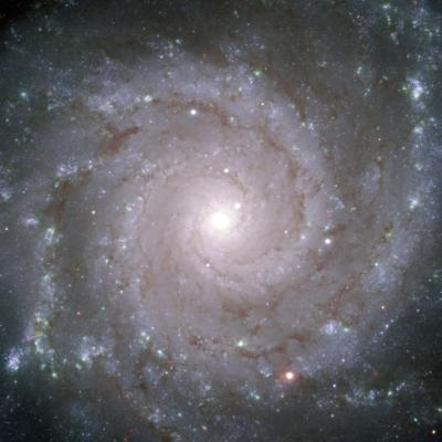 The "Perfect Spiral" M 74