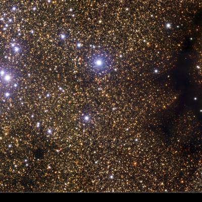 The Starry Dandelion and the Cosmic Gecko NGC 6520