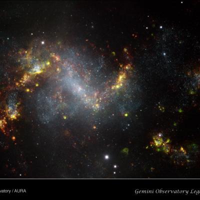 Starburst Galaxy NGC 1313