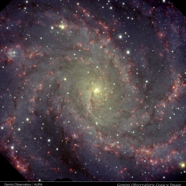 NGC 6946 "Fireworks Galaxy"