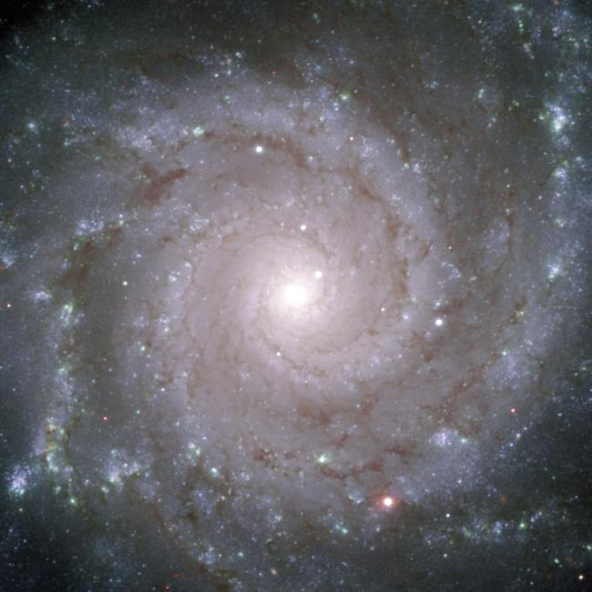 The "Perfect Spiral" M 74