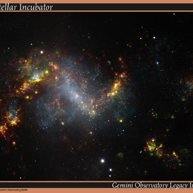 Starburst galaxy NGC 1313