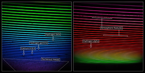 Mosaic of the two GHOST spectra (labeled).