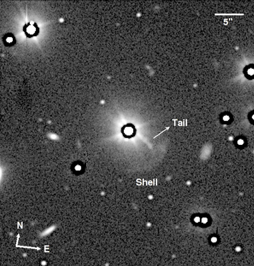 Image of the radio galaxy PKS 1355-41. The galaxy has a bright central core with a faint shell surrounding it. A long, bright tail extends from the core towards the lower right side of the image.