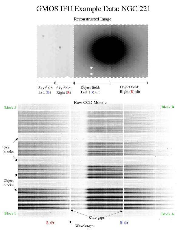 Image shows a GMOS IFU Example Data.